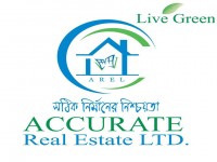 Accurate Real Estate Limited