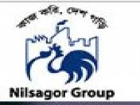 Nilsagor Group