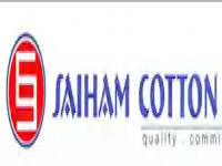 Saiham Cotton Mills Limited 