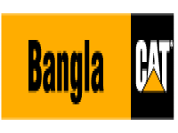 Bangla Cat