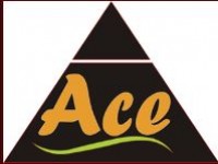 ACE Development Ltd. 