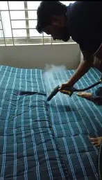 STEAM TREATMENT FOR BED BUG REMOVAL SERVICE