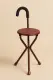 Folding Walking Stick Chair Seat Can