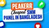 Peakerr - Cheapest SMM Panel in Bangladesh