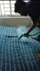 STEAM TREATMENT FOR BED BUG REMOVAL SERVICE