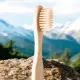 Bamboo Toothbrush (বাঁশের তৈরী ব্রাশ)